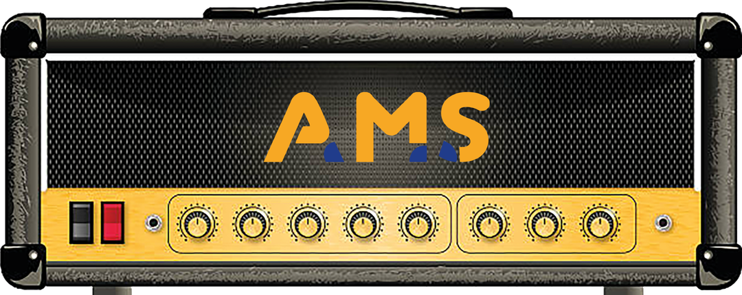 Ampli guitare à lampes personnalisé AMS — Audio Musique Service